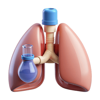 fascinating sought-after Hyper-specific, concept art style, isolated cutout of a biomechanical lung with integrated filtration system with Transparent Background png