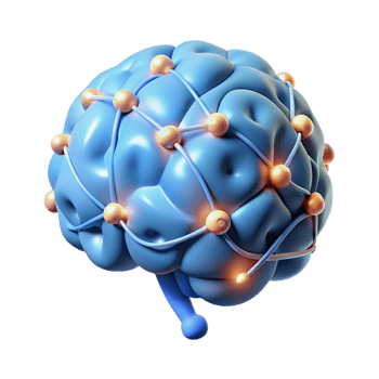 alluring organic A stylized brain with glowing neural connections with Transparent Background flawless png