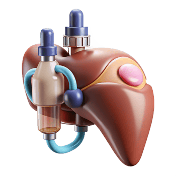 playful mesmerizing Hyper-specific, concept art style, isolated cutout of a biomechanical liver with integrated chemical processing unit with Transparent Background authentic png