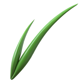 hypnotic unparalleled Ultra-detailed, isolated cutout of a single, bioluminescent space plant, hyper-specific leaf patterns, concept art style with Transparent Background png