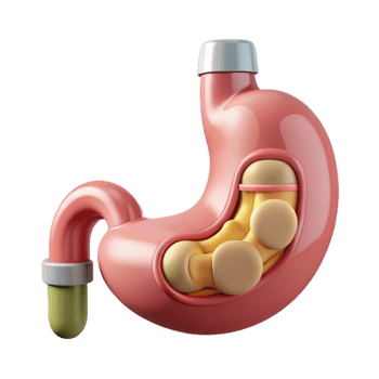 alluring tropical Hyper-specific, concept art style, isolated cutout of a biomechanical stomach with integrated digestive enzymes dispenser with Transparent Background studio quality png