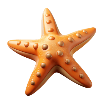 serene traditional Starfish Cutout Orange Hues Isolated authentic png