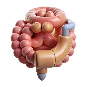 remarkable nordic Hyper-specific, concept art style, isolated cutout of a biomechanical intestine with integrated nutrient absorption system with Transparent Background professional png