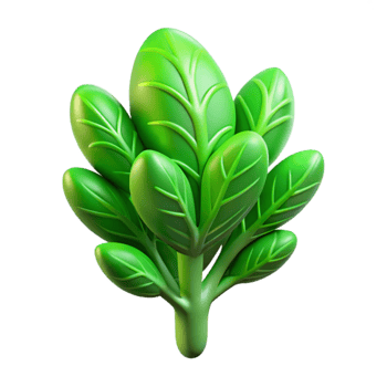 extraordinary minimalist Synthetic Vegetation Isolated Green Sprig Backlit exclusive png