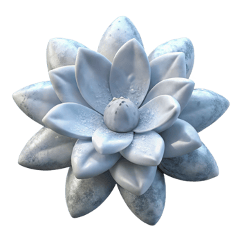 stunning vintage White Arctic Flower Transparent Background Winter premium png