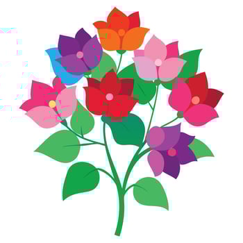 Bougainvillea Bloom Illustration vector