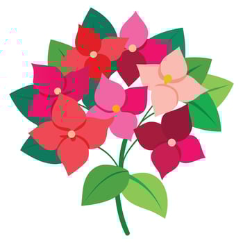 Tropical Bougainvillea Floral Design vector