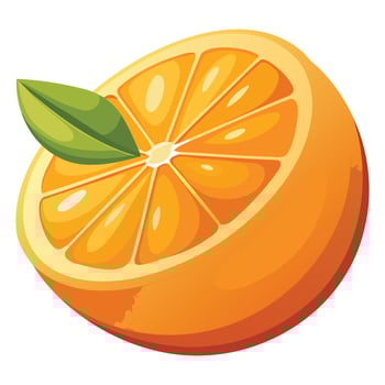 Fresh Juicy Orange Slice Illustration vector