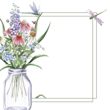 Square frame with flowers in glass jar, dragonfly and caterpillar. Isolated watercolor illustration of garden flowers for design of cosmetic products, printing on posters, clothes. png