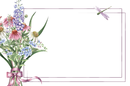 Rectangular frame with a bouquet of garden flowers with a bow, dragonfly and butterfly. Isolated watercolor illustration for the design of cosmetic products, calendars, booklets, posters. png