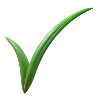 gorgeous dreamy nordic Single blade of grass with Transparent Background detailed png