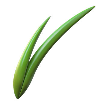 dramatic iconic Single blade of grass with Transparent Background png