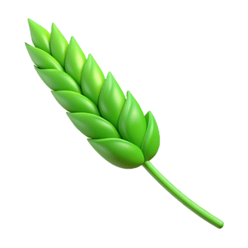 pristine tropical Green stem of wheat with Transparent Background high resolution png