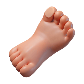 extraordinary bold nordic Photorealistic isolated cutout of a human foot with realistic details and toenails with Transparent Background exclusive png