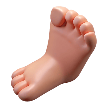 remarkable futuristic Photorealistic isolated cutout of a human foot with realistic details and toenails with Transparent Background precision png