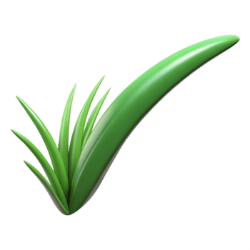 sumptuous harmonious elegant Single blade of green grass with Transparent Background elite png