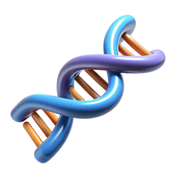 melancholic immaculate Photorealistic, hyper-specific professional render of a single, isolated, DNA double helix molecule with Transparent Background museum quality png