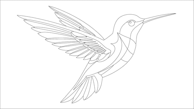 Beautiful Hummingbird Line Art - Printable Coloring Page for Relaxation vector