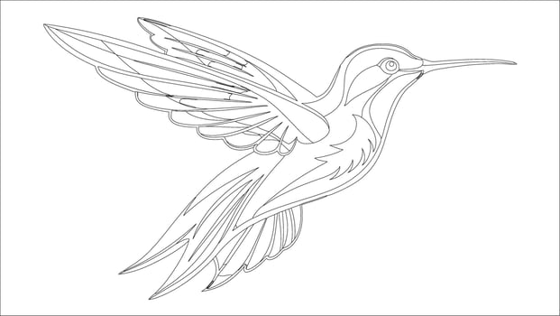 Elegant Hummingbird in Flight - Detailed Doodle Line Art for Coloring vector