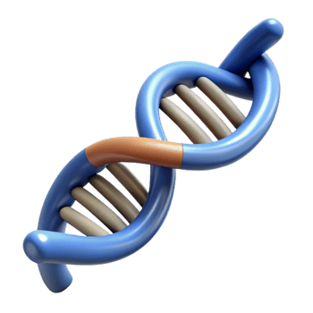 glorious melancholic gothic Hyper-specific, photorealistic render of a single, coiled DNA strand with detailed molecular structure Isolated cutout with Transparent Background fine detail png