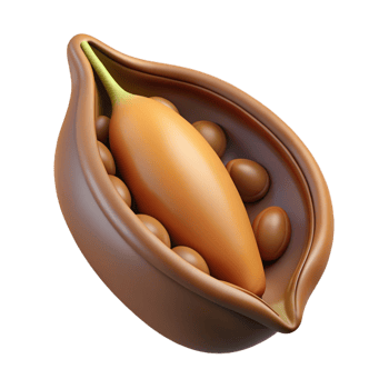 majestic geometric Concept art style, isolated cutout of a single, dried seed pod with open chambers and visible seeds with Transparent Background high quality png