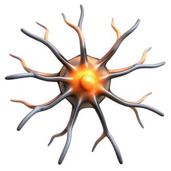 majestic elegant Isolated cutout, concept art style, single, hyper-detailed neuron, synapses firing, professional render with Transparent Background masterfully captured png