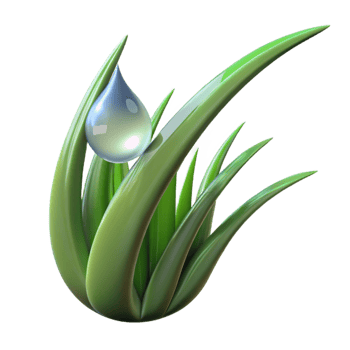 notable baroque Close up of dew drop on blade of grass with Transparent Background Grass blade is part of dew drop subject 4K png