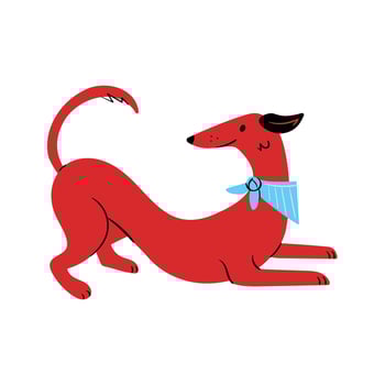 Playful doodle of red hound dog in bow pose with front paws down and tail up with bandana on neck. Illustration in flat cartoon style on white background vector