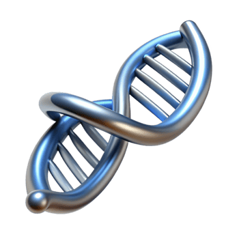 timeless renaissance Concept art style, professional render of a single, isolated, floating, DNA double helix, chrome Isolated cutout with Transparent Background premium png