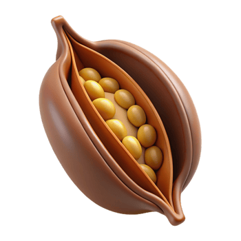 breathtaking notable Concept art style, isolated cutout of a single, dried seed pod with open chambers and visible seeds with Transparent Background png