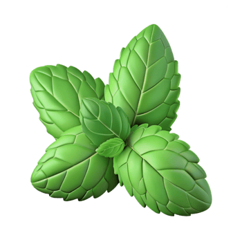 enchanting bold rustic Freshly picked mint leaves with Transparent Background impeccable png