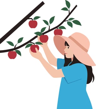 Young woman harvesting red apples from a tree in a flat illustration vector