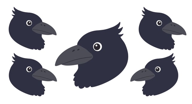 Dark bird heads in various positions with flat design style art vector