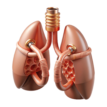 stunning melancholic retro Concept art style biomechanical lung, intricate network of tubes and filters, pulsating bellows, copper and glass, isolated cutout with Transparent Background impeccable png