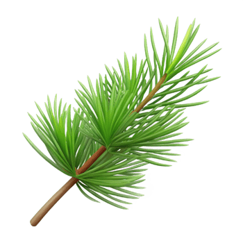 serene coastal Ultra-detailed, isolated cutout, concept art style rendering of a single, sentient robotic probe, displaying complex circuitry with Transparent Background top-tier png