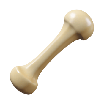 beautiful signature Ultra-detailed, photorealistic render of a single bone, human femur, isolated cutout with Transparent Background png