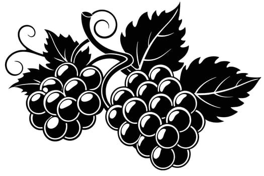 Ornate Black and White Silhouette of Grapes vector