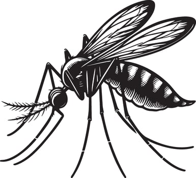 Mosquito Sketch Illustration. vector