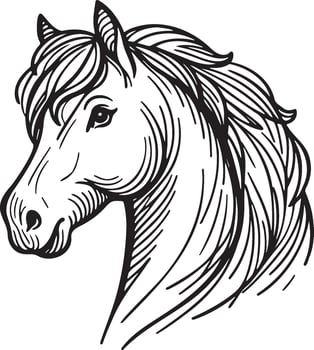 Horse Head Drawing. vector