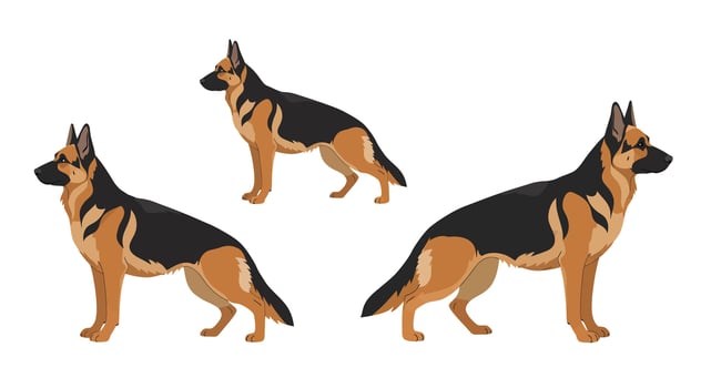 German Shepherd dog in various poses flat illustration vector