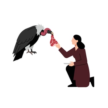 Woman feeding a vulture in flat design style art vector