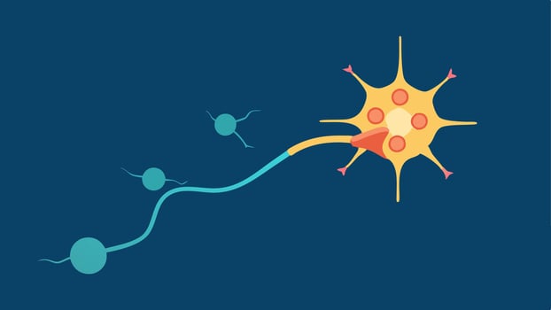 Dopamine Release An illustration of a neuron firing showing neurotransmitters dopamine being released into the synaptic cleft highlighting the connection between neurons.. vector