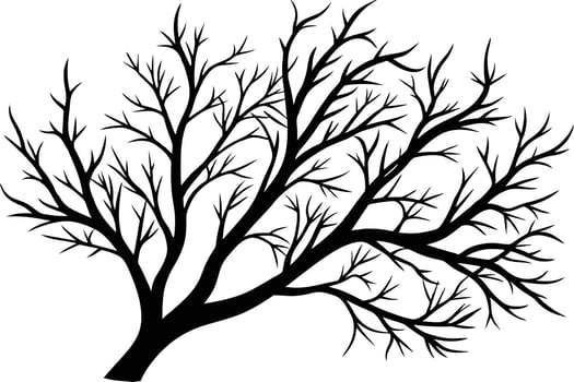 A Detailed Silhouette of a Bare Winter Tree vector