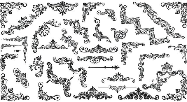 Decorative black and white vintage flourishes and borders in intricate designs and patterns vector