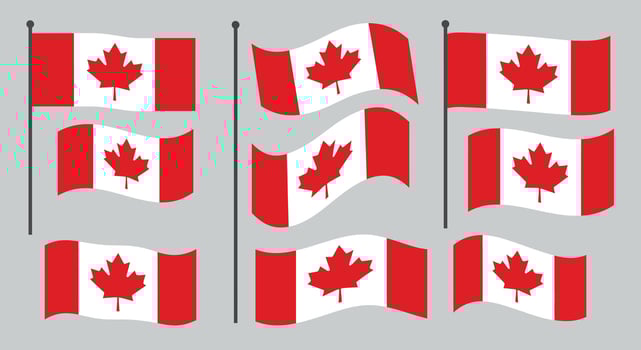 Canadian flags in various positions designed in a flat illustration style vector