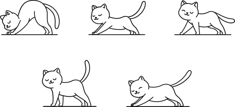 Cat stretching in various poses illustrated in minimal flat art vector