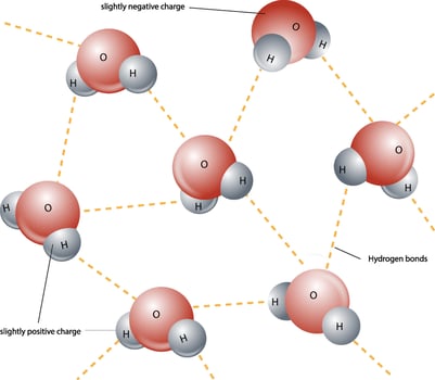illustration of hydrogen bond vector