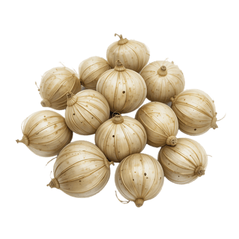 Pile of Allium Bulbs on Transparent Background png