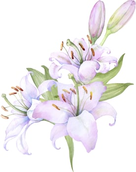 Bouquet white lilies, pink lilies, flowers vector