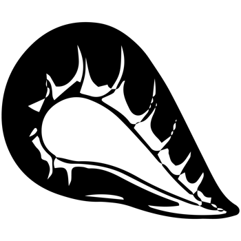 A black and white illustration of a conch shell png